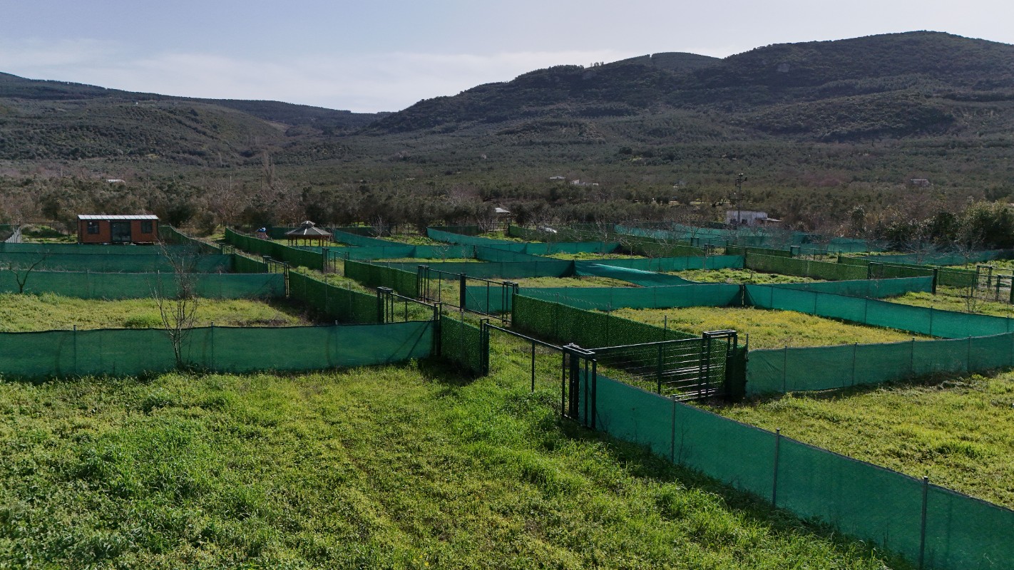 MUDANYA TRİLYE DE SATILIK BAHÇELER