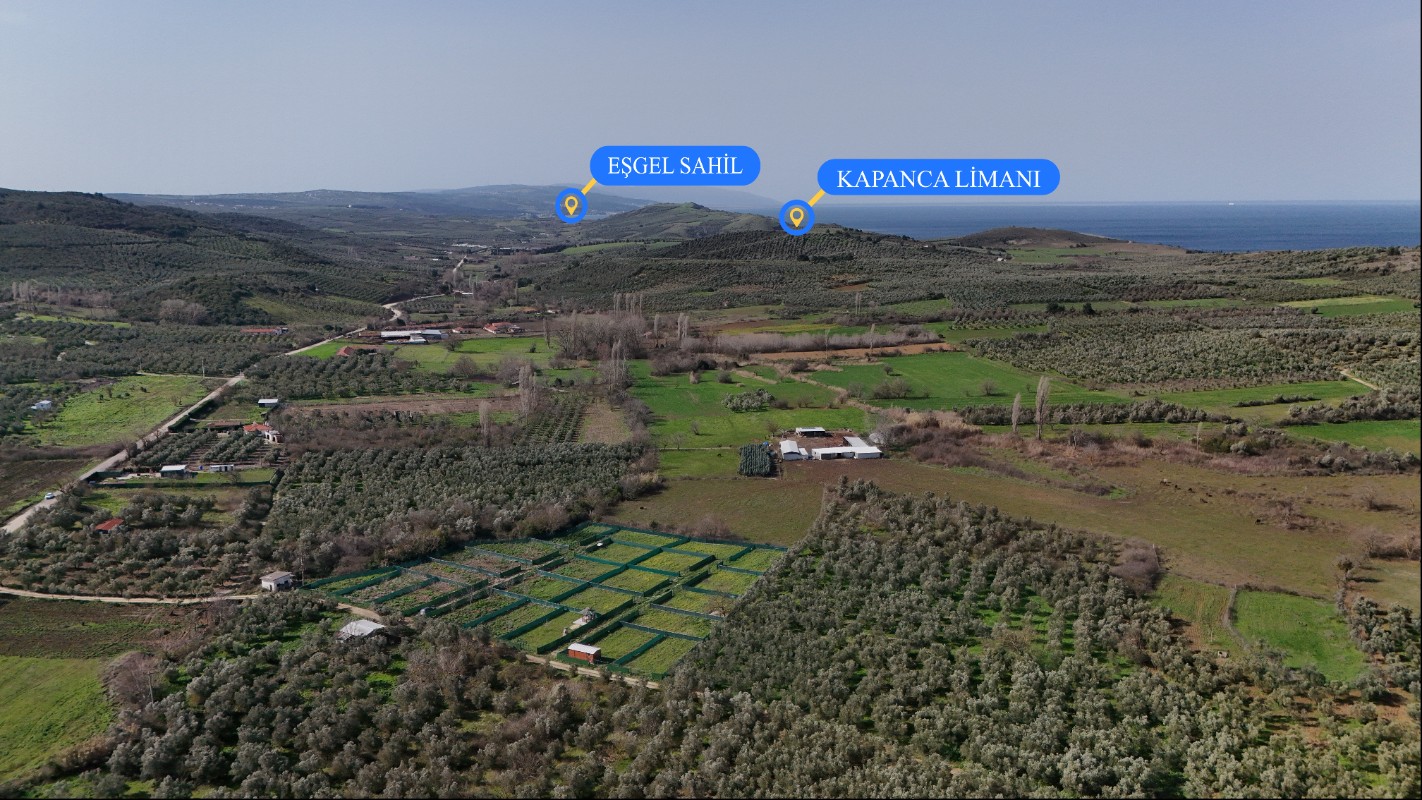 MUDANYA TRİLYE DE SATILIK BAHÇELER