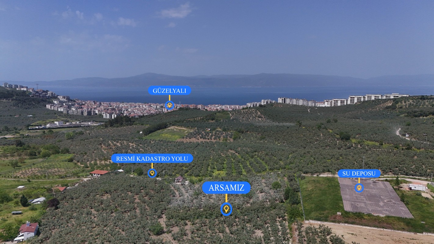 Mudanya Aydınpınarda Satılık 1214 m² Zeytinlik
