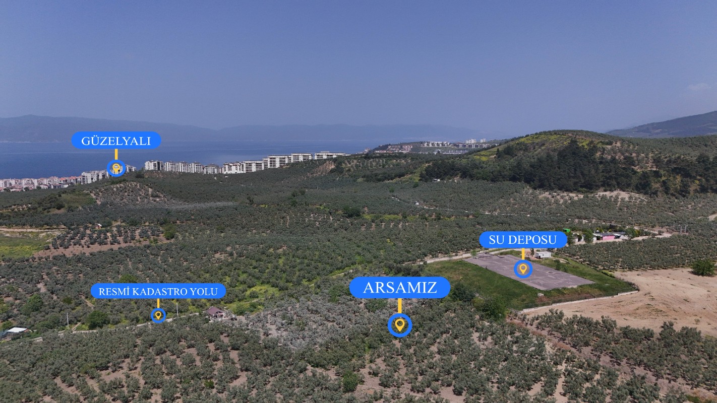 Mudanya Aydınpınarda Satılık 1214 m² Zeytinlik