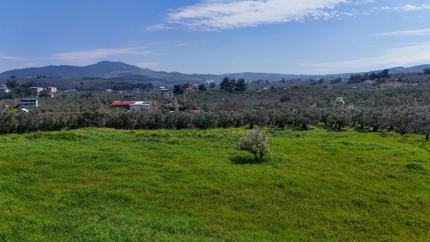 Bursa Mudanya Güzelyalı Eğitim Mahallesinde Satılık Tarla