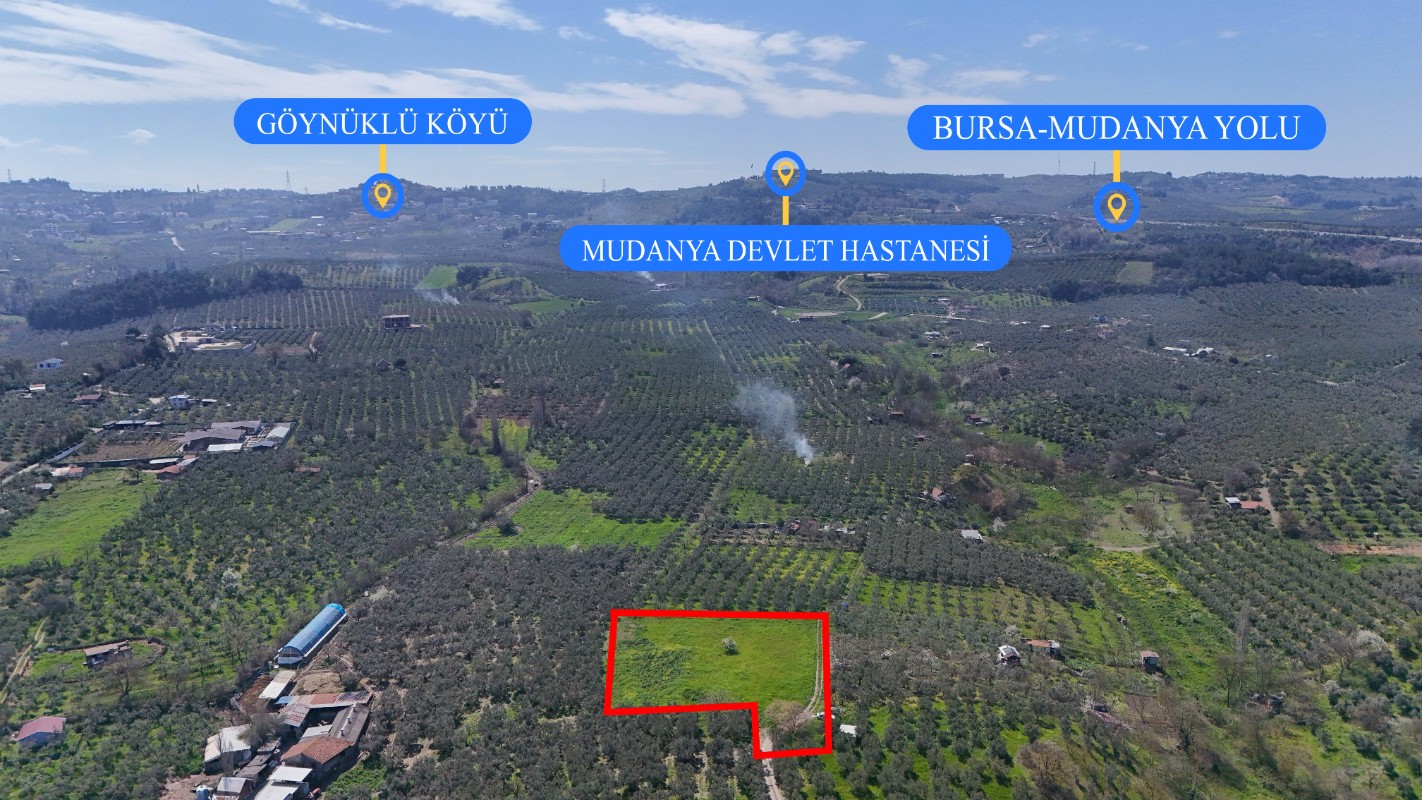 Bursa Mudanya Güzelyalı Eğitim Mahallesinde Satılık Tarla