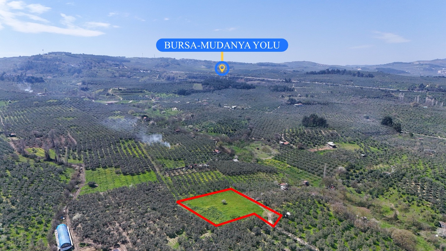 Bursa Mudanya Güzelyalı Eğitim Mahallesinde Satılık Tarla