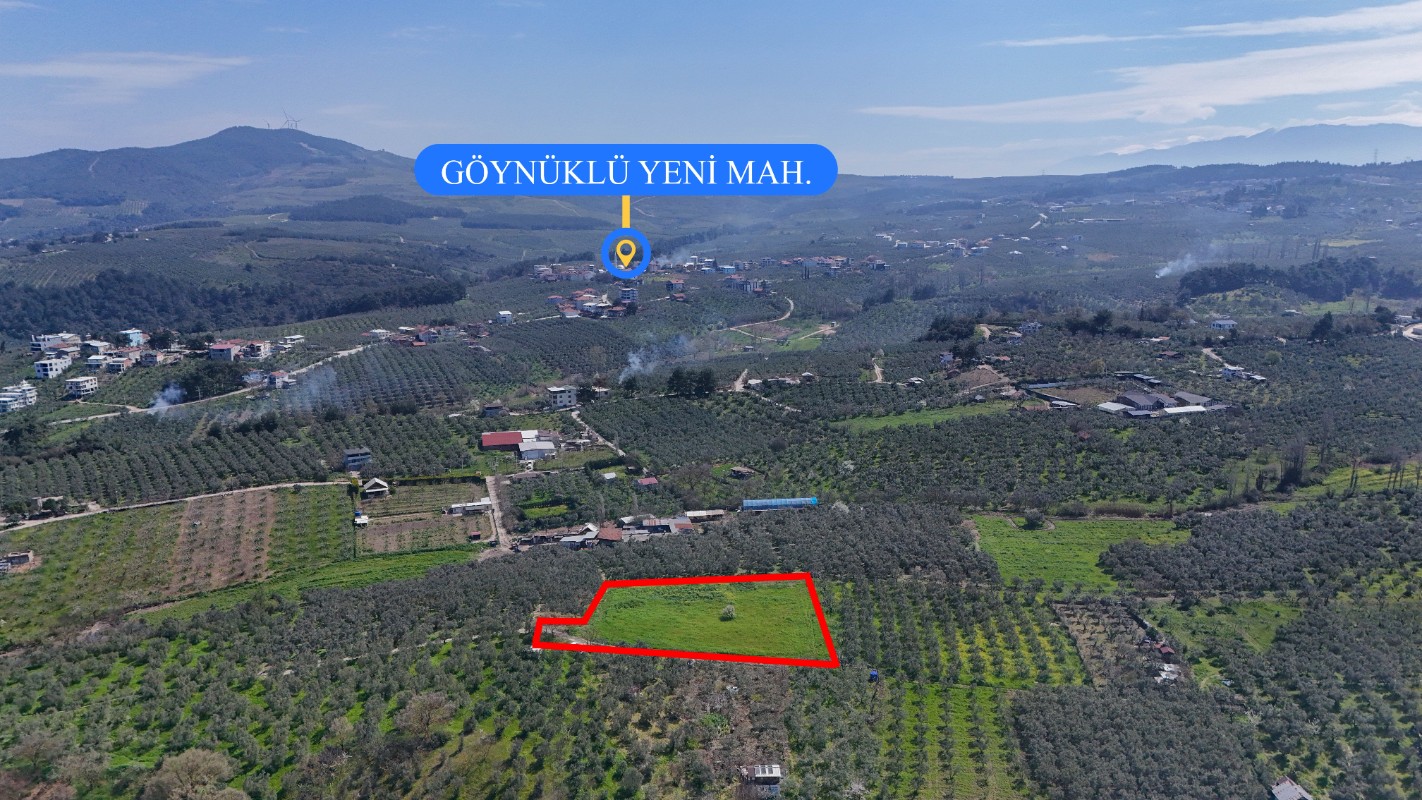 Bursa Mudanya Güzelyalı Eğitim Mahallesinde Satılık Tarla