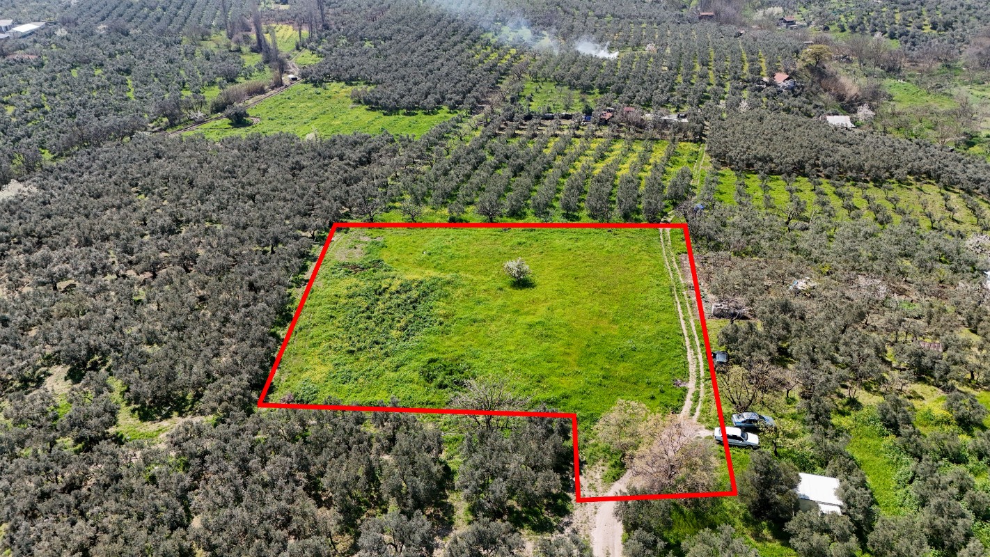 Bursa Mudanya Güzelyalı Eğitim Mahallesinde Satılık Tarla
