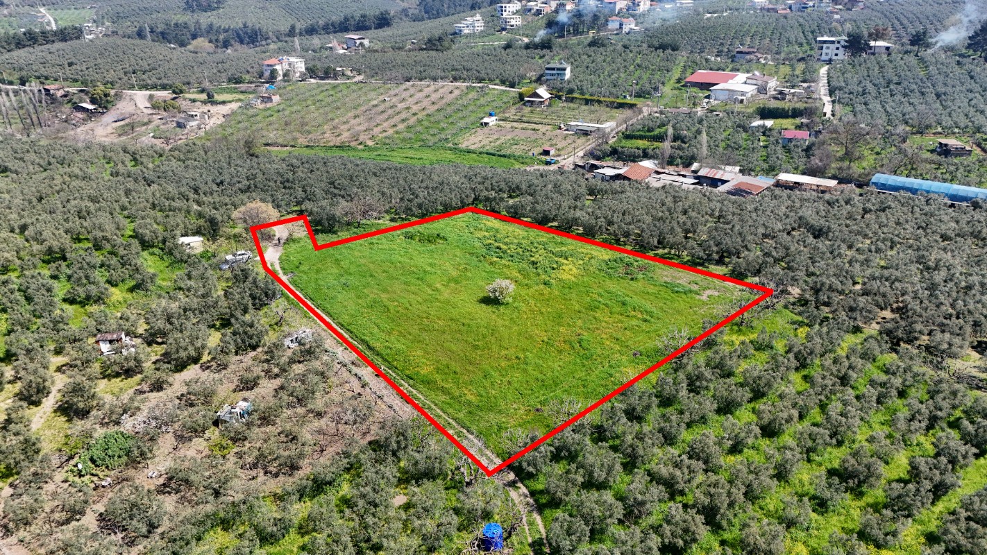 Bursa Mudanya Güzelyalı Eğitim Mahallesinde Satılık Tarla