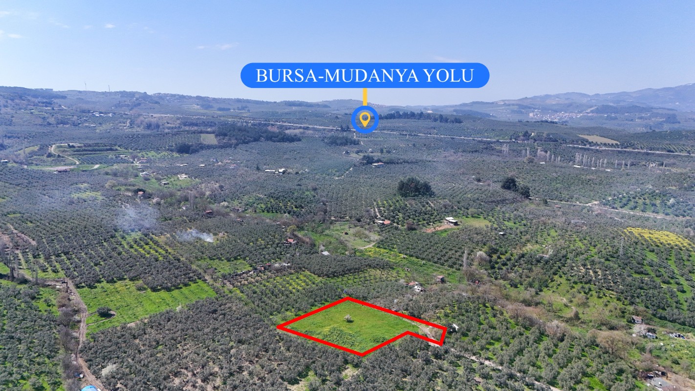 Bursa Mudanya Güzelyalı Eğitim Mahallesinde Satılık Tarla