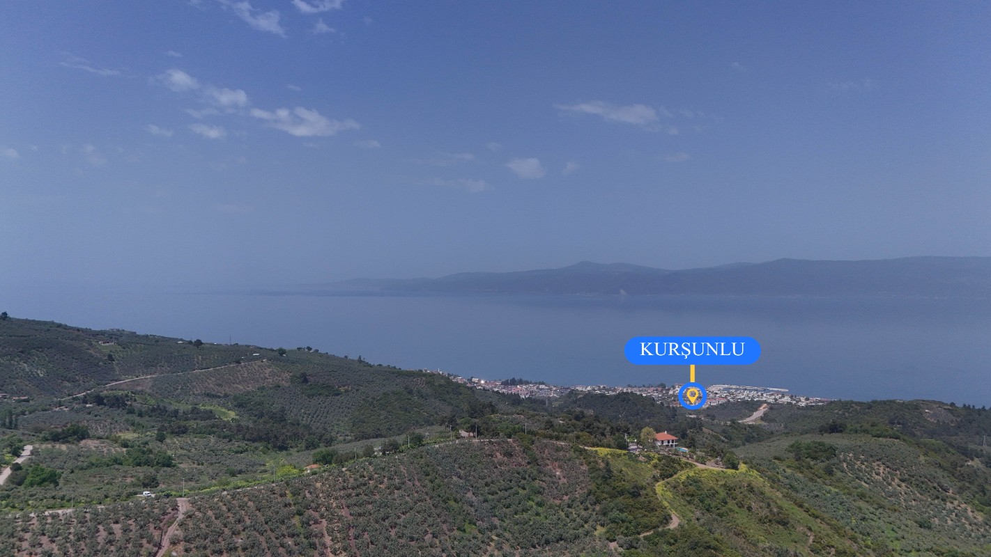 BURSA OSMANGAZİ GÜNDOĞDUDA SATILIK ZEYTİNLİK