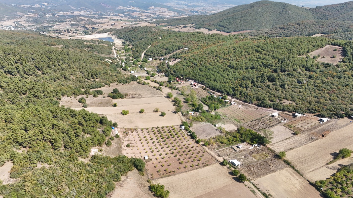 BURSA YENİŞEHİR MARMARACIKTA YAPI KAYITLI SATILIK BAHÇE