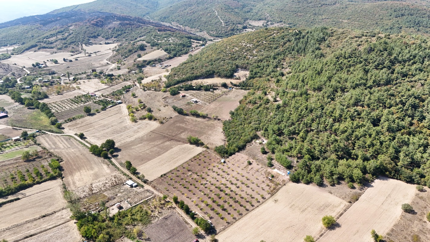BURSA YENİŞEHİR MARMARACIKTA YAPI KAYITLI SATILIK BAHÇE