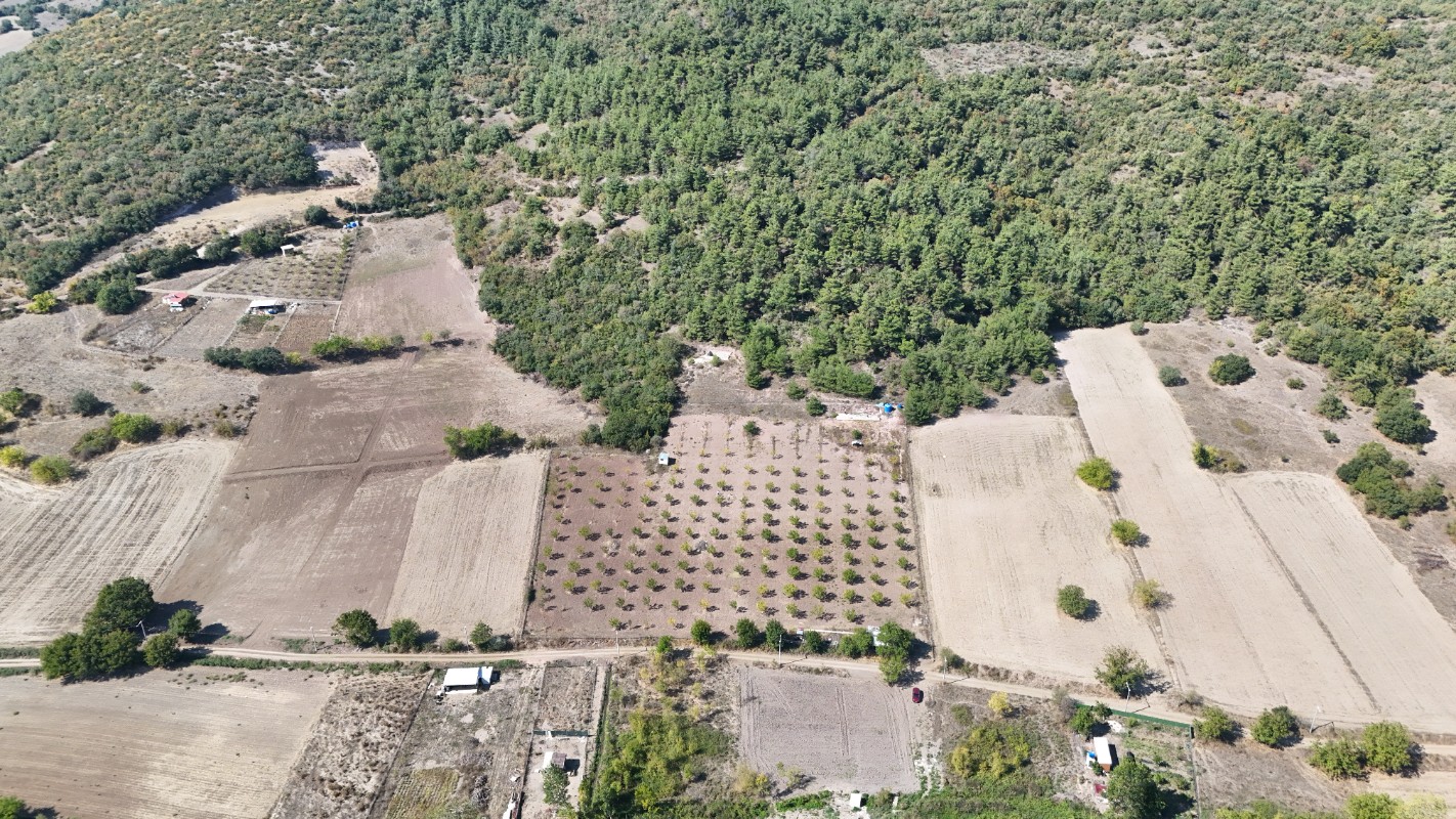 BURSA YENİŞEHİR MARMARACIKTA YAPI KAYITLI SATILIK BAHÇE