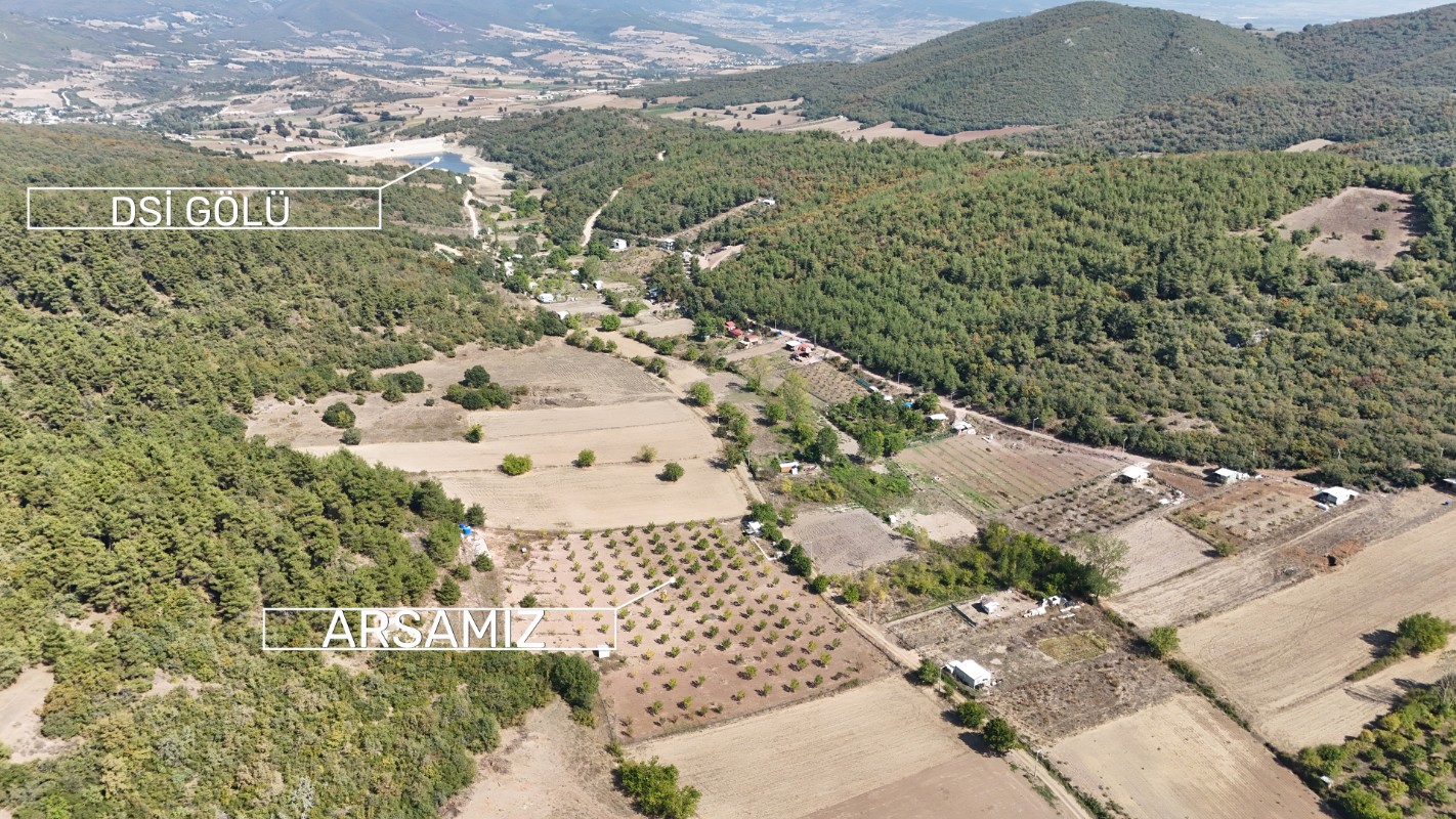 BURSA YENİŞEHİR MARMARACIKTA YAPI KAYITLI SATILIK BAHÇE