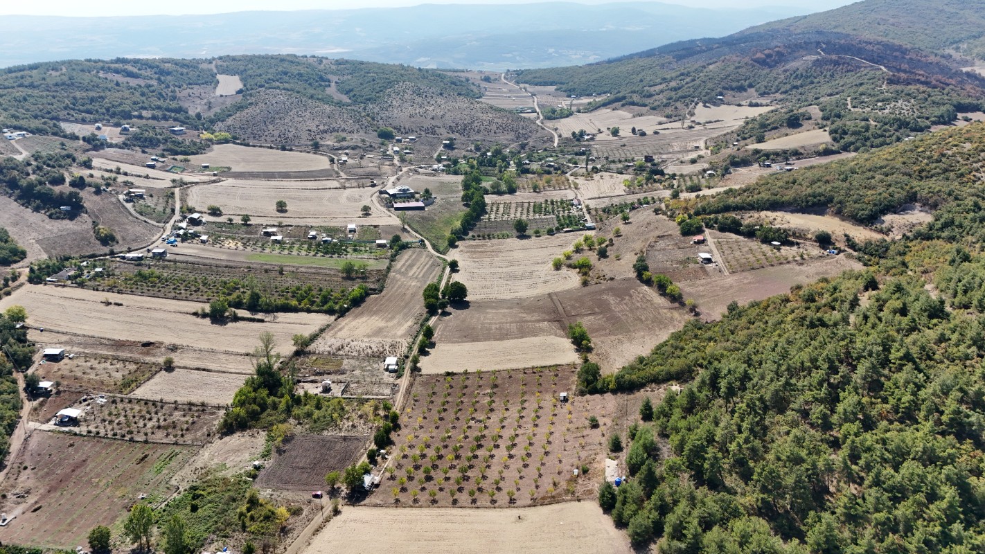 BURSA YENİŞEHİR MARMARACIKTA YAPI KAYITLI SATILIK BAHÇE