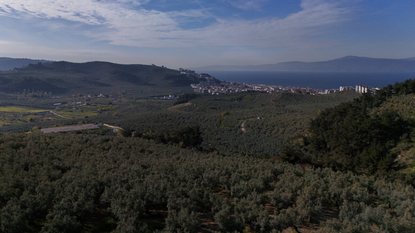 BURSA MUDANYA DENİZ MANZARALI İMAR DİBİ ARAZİ