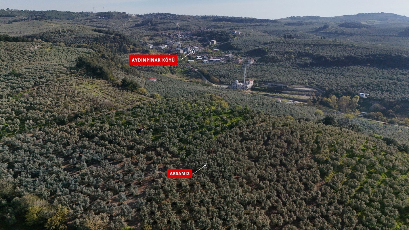 BURSA MUDANYA DENİZ MANZARALI İMAR DİBİ ARAZİ