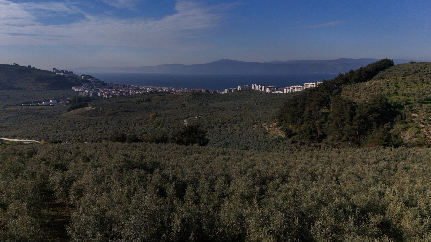 BURSA MUDANYA DENİZ MANZARALI İMAR DİBİ ARAZİ
