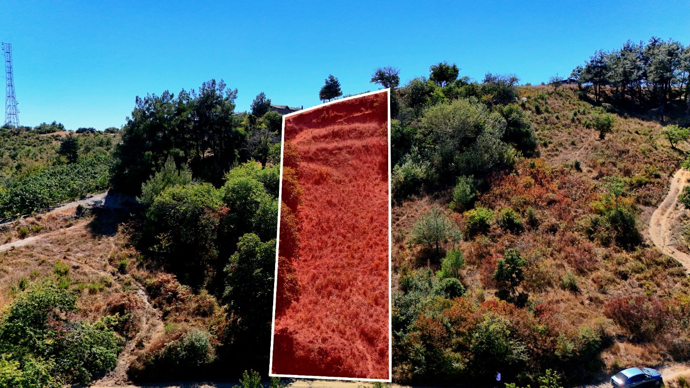 Bursa Mudanya Çepni'de 1.665 m² Resmi Yola Cepheli Satılık Tarla