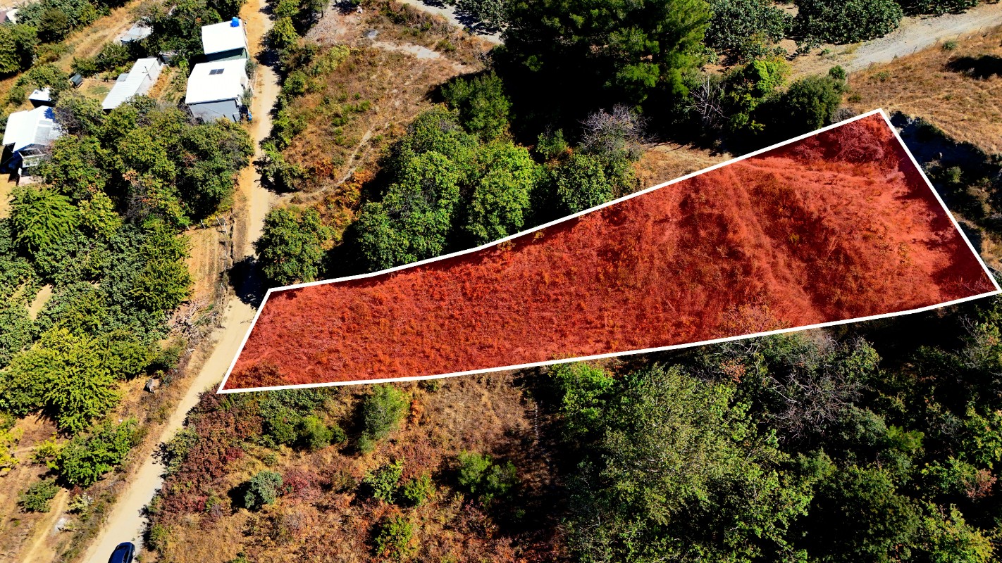 Bursa Mudanya Çepni'de 1.665 m² Resmi Yola Cepheli Satılık Tarla