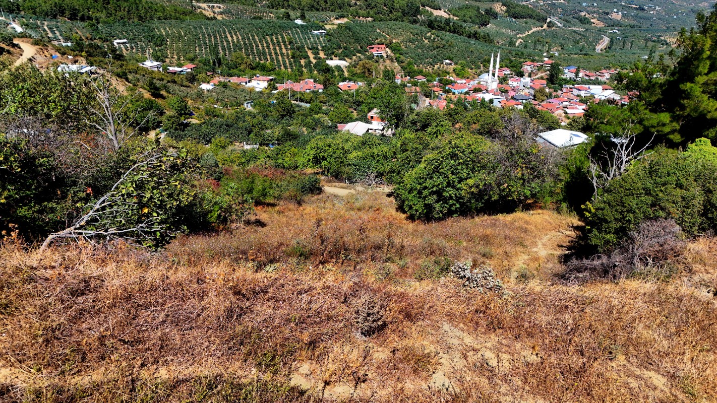 Bursa Mudanya Çepni'de 1.665 m² Resmi Yola Cepheli Satılık Tarla