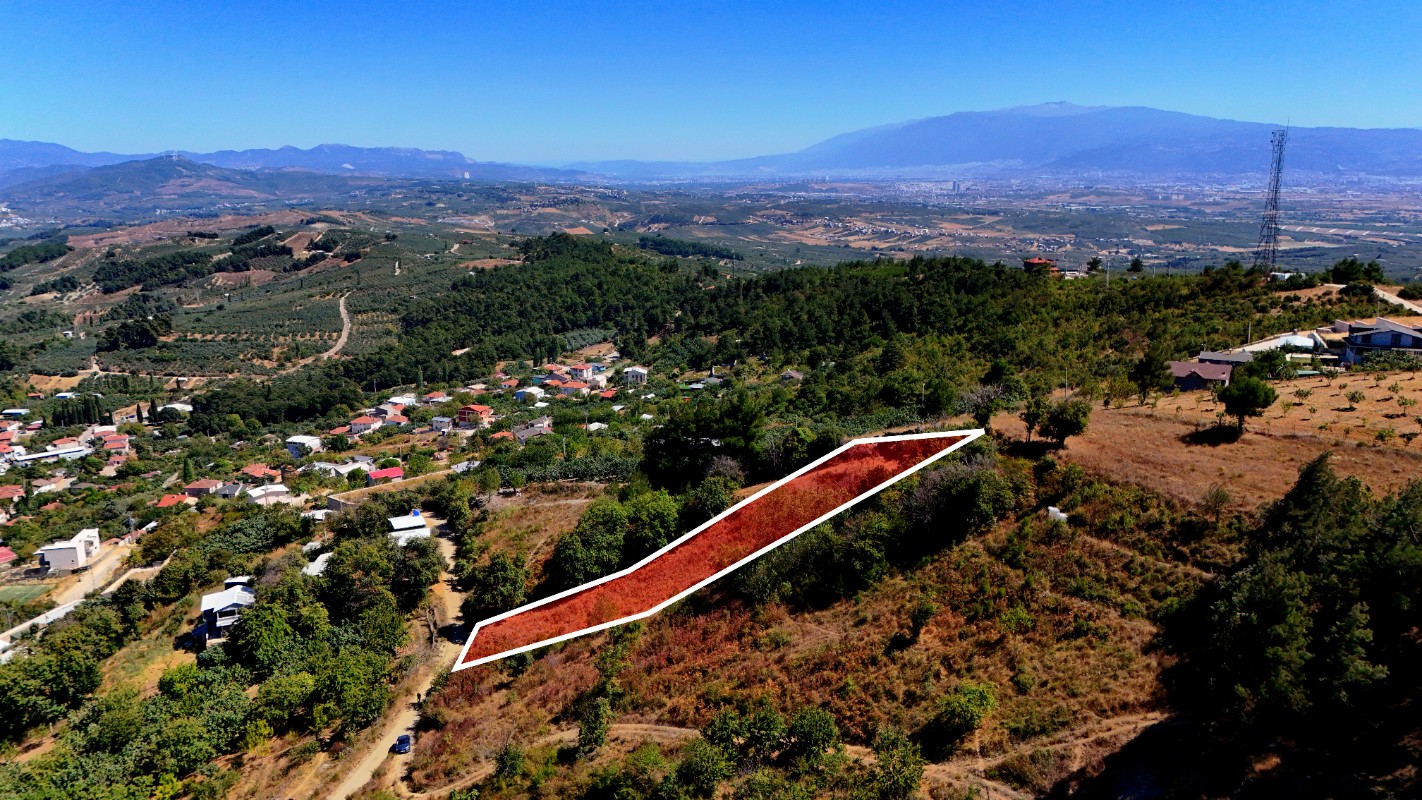 Bursa Mudanya Çepni'de 1.665 m² Resmi Yola Cepheli Satılık Tarla