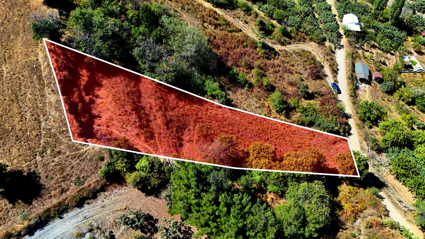 Bursa Mudanya Çepni'de 1.665 m² Resmi Yola Cepheli Satılık Tarla