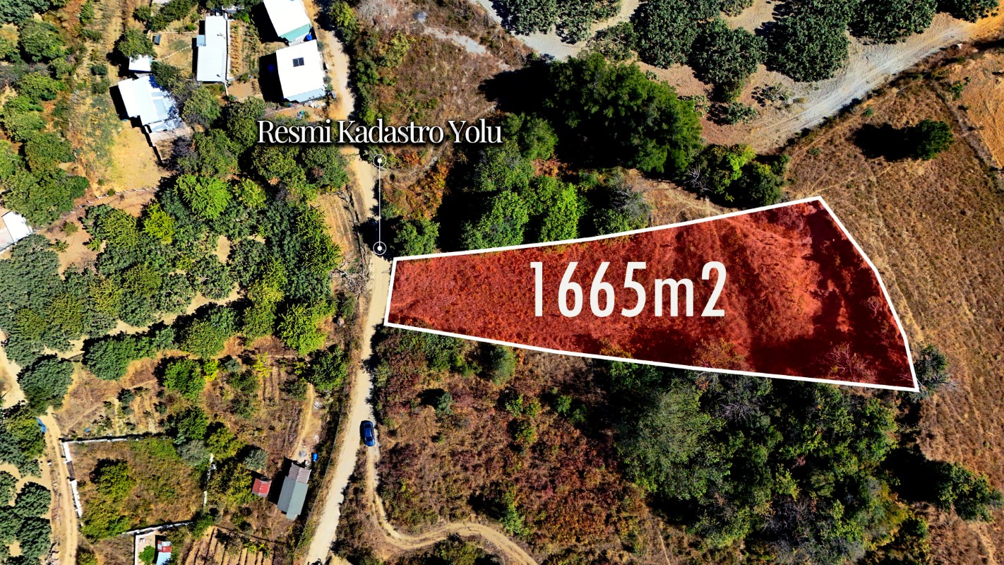 Bursa Mudanya Çepni'de 1.665 m² Resmi Yola Cepheli Satılık Tarla