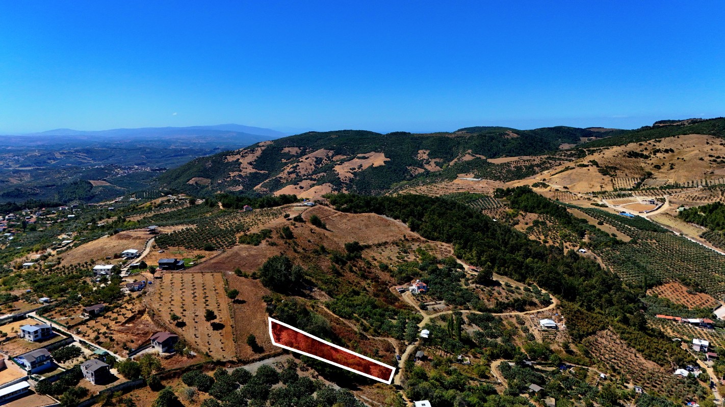 Bursa Mudanya Çepni'de 1.665 m² Resmi Yola Cepheli Satılık Tarla