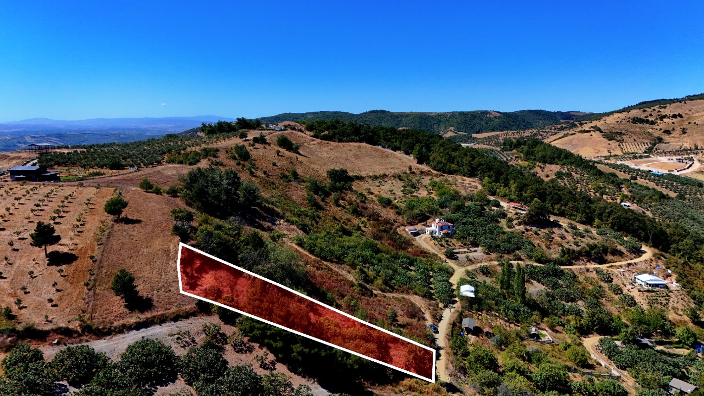 Bursa Mudanya Çepni'de 1.665 m² Resmi Yola Cepheli Satılık Tarla