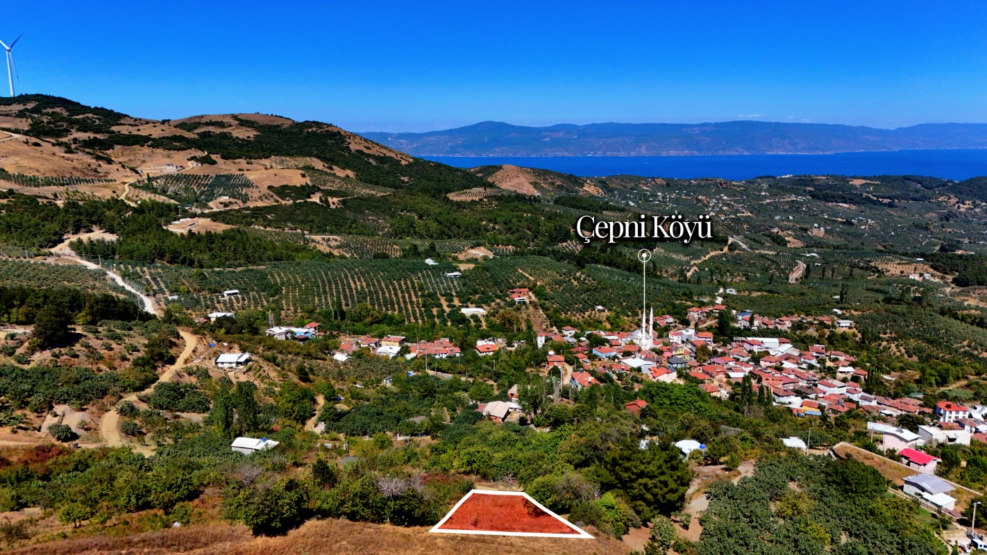 Bursa Mudanya Çepni'de 1.665 m² Resmi Yola Cepheli Satılık Tarla