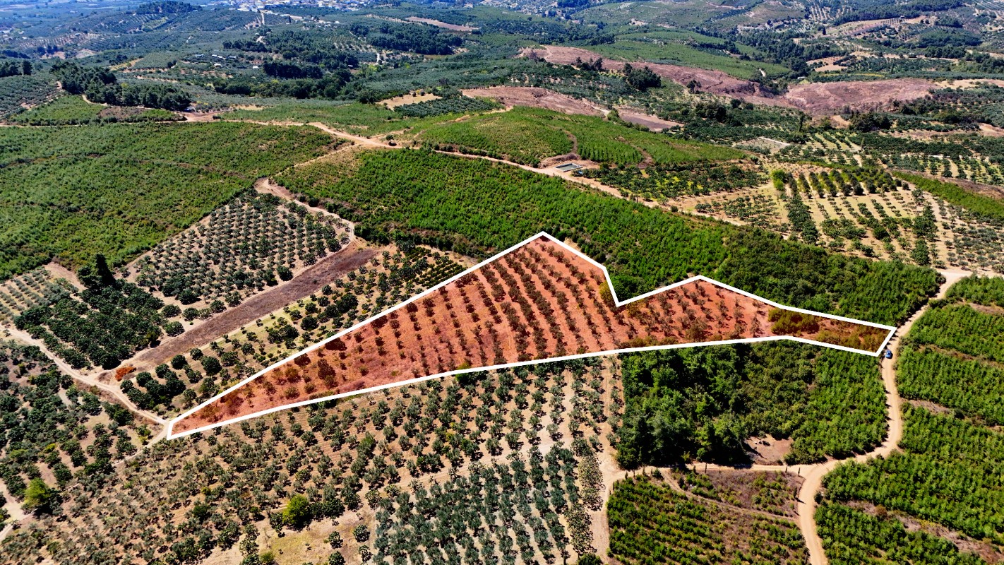 Osmangazi Ovaakça Merkez'de 17.065 m² Resmi Yola Cepheli Tarla