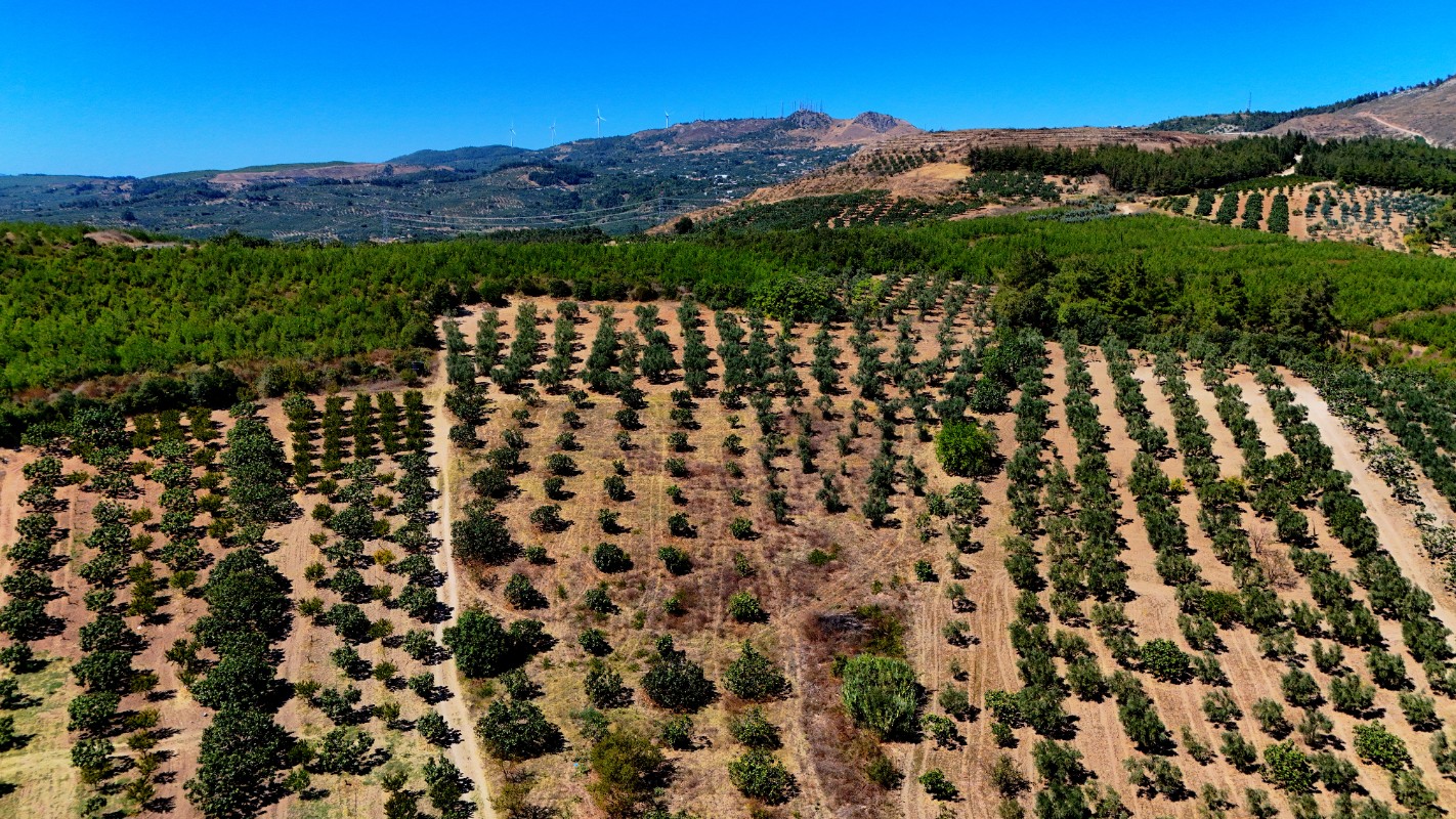 Osmangazi Ovaakça Merkez'de 17.065 m² Resmi Yola Cepheli Tarla