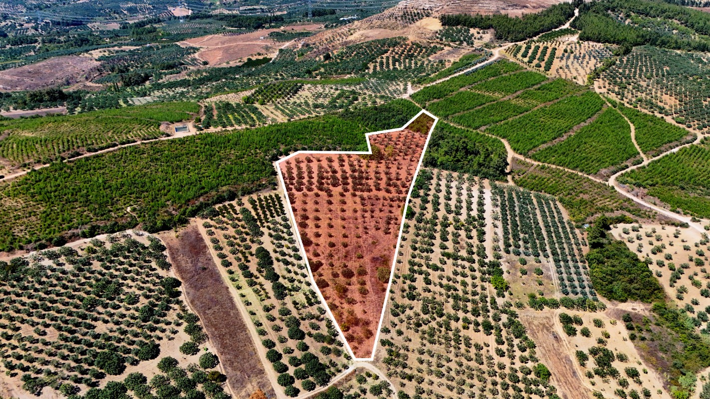 Osmangazi Ovaakça Merkez'de 17.065 m² Resmi Yola Cepheli Tarla
