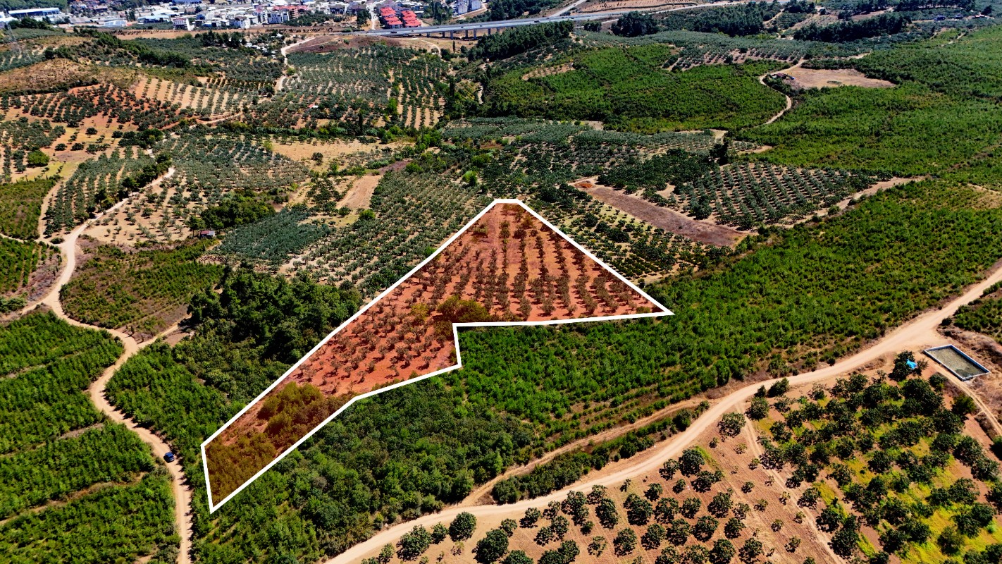 Osmangazi Ovaakça Merkez'de 17.065 m² Resmi Yola Cepheli Tarla