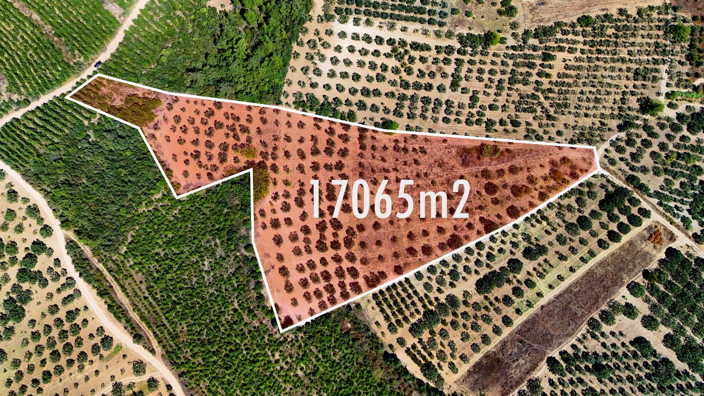 Osmangazi Ovaakça Merkez'de 17.065 m² Resmi Yola Cepheli Tarla