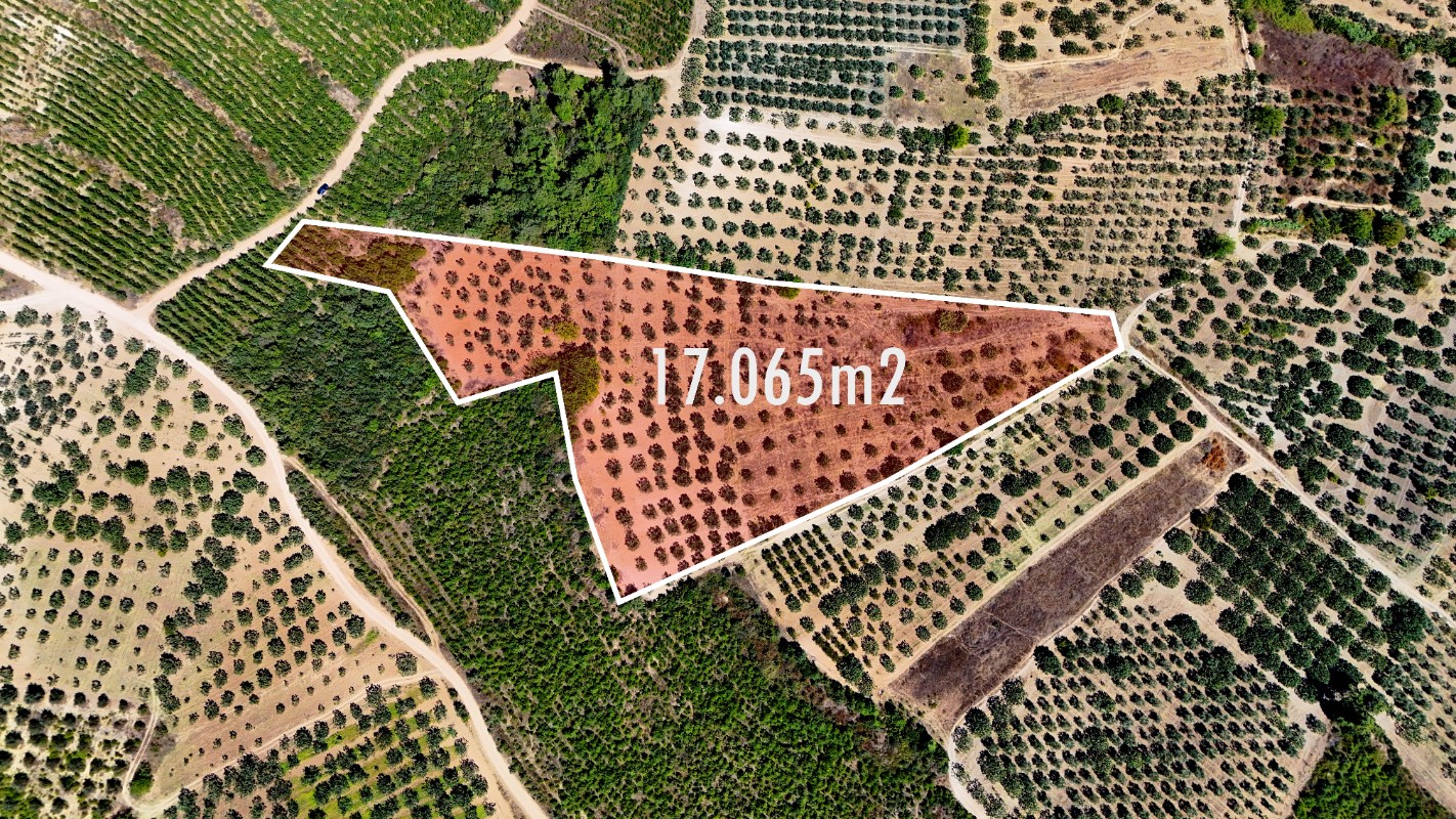 Osmangazi Ovaakça Merkez'de 17.065 m² Resmi Yola Cepheli Tarla